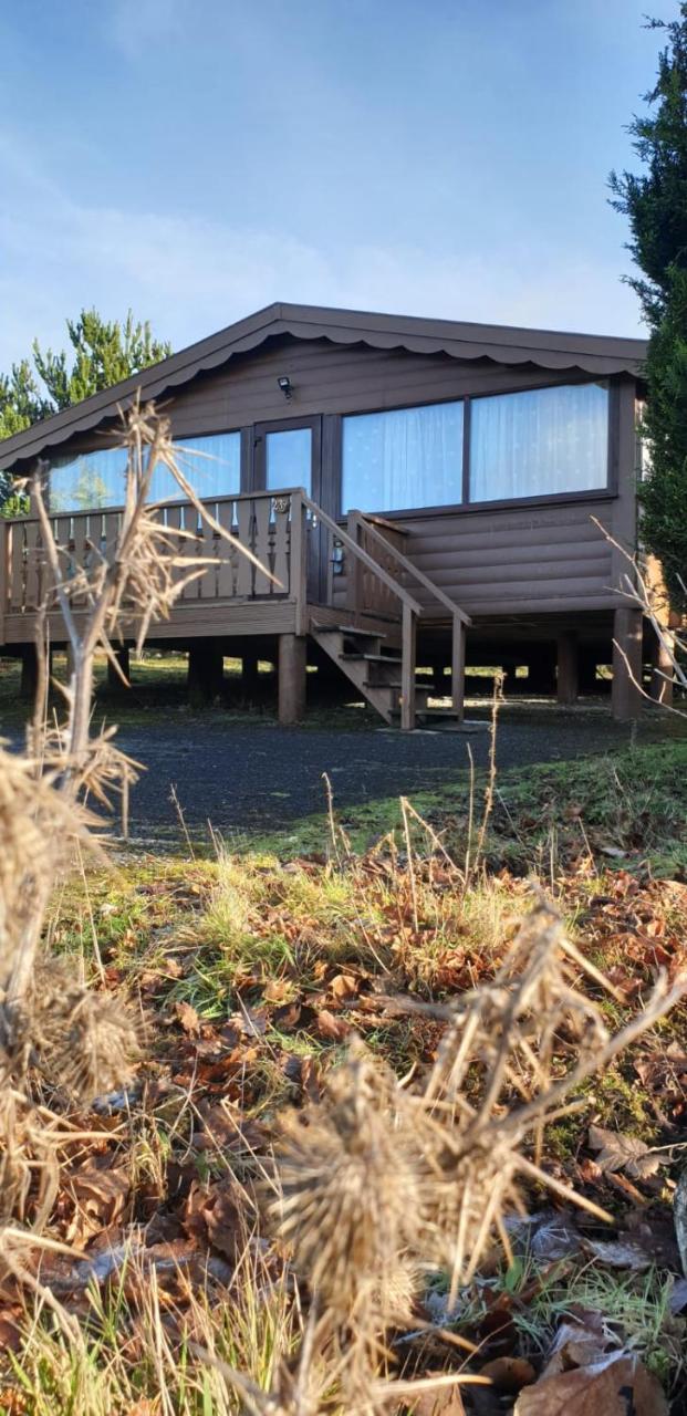 Апартаменты Rhinog View Mountain Log Cabin Trawsfynydd Экстерьер фото