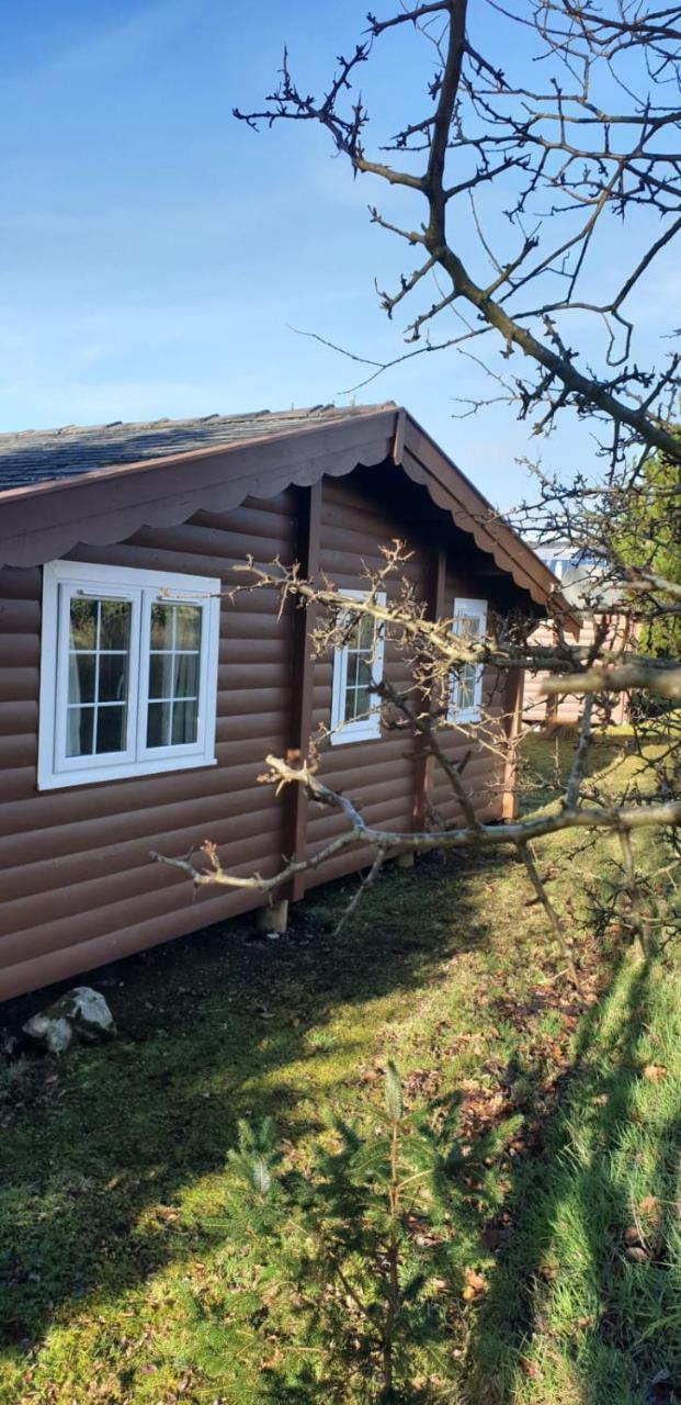 Апартаменты Rhinog View Mountain Log Cabin Trawsfynydd Экстерьер фото